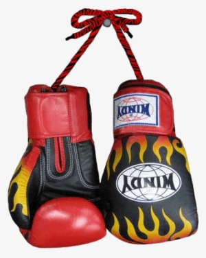 muay thai boxing gloves - pattaya