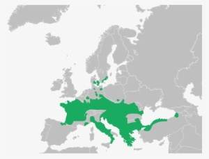 Mapa Rana Dalmatina - Europe Map Without Names Or Borders