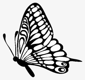Dibujo De Mariposa Dirección Izquierda Para Colorear - Butterflies Black And White Clipart