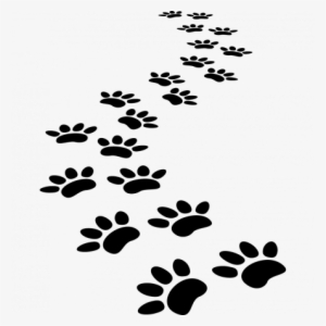 Simulate The Colour Of The Backing - Dog Paw Print Trail Png