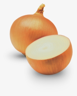 Onion