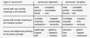 Sample Of Synonyms Found By Our System In Snomed-ct - Sample Pointing System