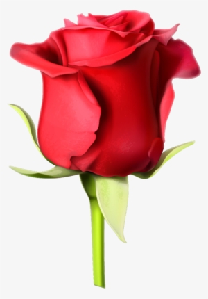 Rosa Roja - Rose Images Hd Download