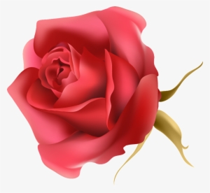 La Rosa Roja Transparente Png Decorativo - Portable Network Graphics