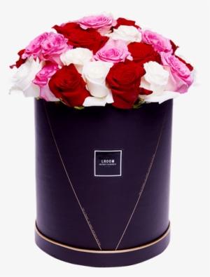 Picture Of Say Yes - Rosa × Centifolia