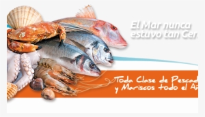 México, El Mayor Consumidor De Pescados Y Mariscos - Seafood Frozen
