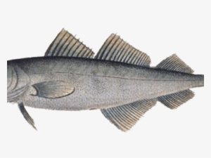 Pescado - Printing
