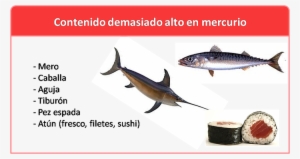 Comer Pescado Con Mucho Mercurio Aumenta Riesgo De - Peces Con Alto Contenido De Mercurio