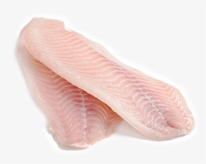 Alimentos Con Un Increíble Valor Proteico - Fillet Fish