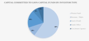 Lion Capital Investor Base - Search For Current Available Sources Of Finance