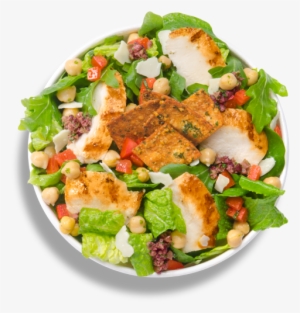 Chicken Salad Bowl - Templates Frestaurent Html