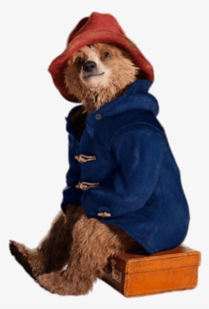 Descargar - Paddington Bear Paddington Memes