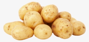 Potatoes, Unpeeled, Carbohydrates, Food, Agriculture - Batatinha Para Que Serve