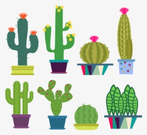 Sticker Cactus Fleuris Ambiance Sticker Col Raja A013