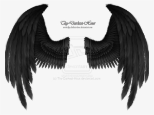 Photo Photo Photo Photo Photo - Black Raven Wings Png