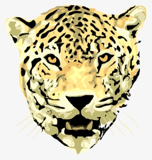 Scary Lion Pictures - Jaguar Face Vector