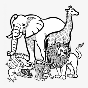 Nice Elephant Drawing Outline Collection Of Free Elephants - Black And White Clipart Animals