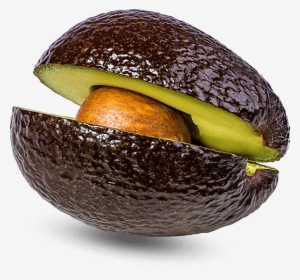 Avocado Avocado - Avocado