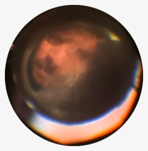 Animal Eye Camera