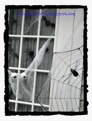 2 Web - - Window