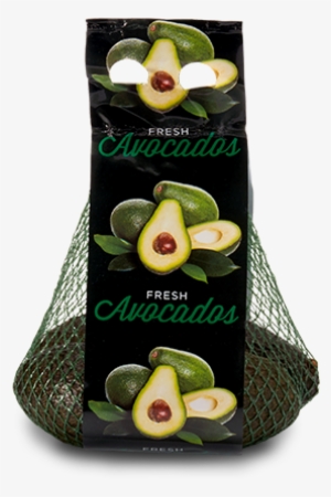 avocados - avocado packaging
