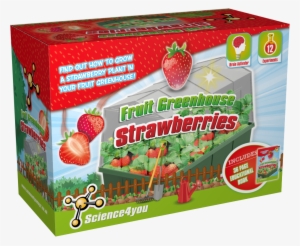 Strawberries Greenhouse Educational Kit Content