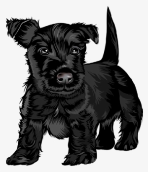 Free To Copy Cartoon Dog Images On A Transparent Background - Black Scottish Terrier Dog Pillow