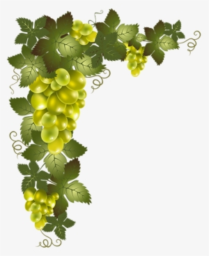 Raisins Grape Vines, Vector Design, Borders And Frames, - Transparent Background Grape Vine Png
