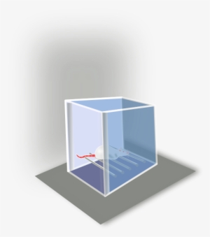 Conditioning Box Png Images 534 X - Clip Art