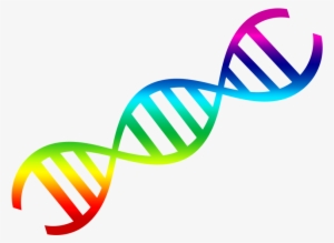 Pin Dna Clipart - Dna Png