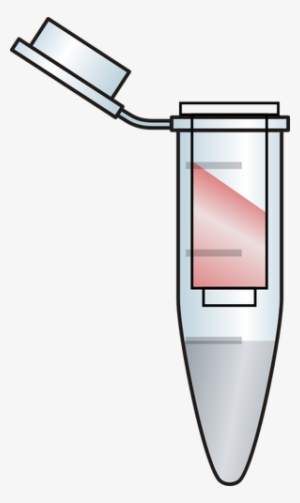Dna Clipart Tube Eppendorf - Tubo Eppendorf Png