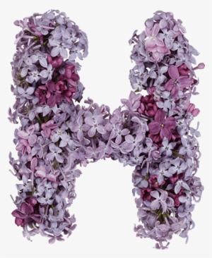 Lilac Font - Font