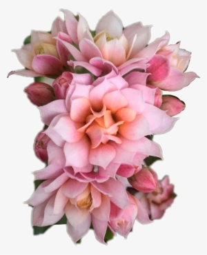 Bouquet Flowers Png Overlay Transparent Flower Lovely - Tumblr