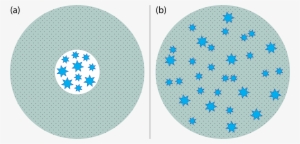 Illustration Of The Two Galaxy Geometries We Consider - Model