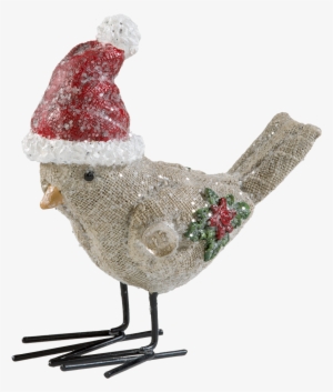 Bird With Christmas Cap - Christmas Day