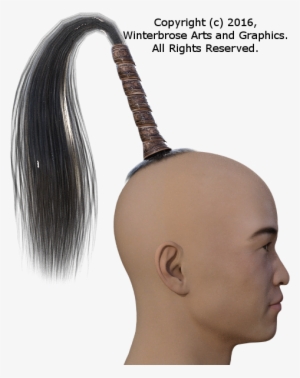 Genesis 2 Male - Horsetail Hairstyle