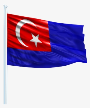 R Vg - Johor Darul Takzim Flag