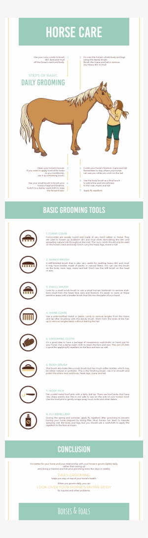 Basic Daily Grooming Tips - Personal Grooming