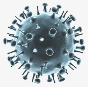 Diasorin Molecular Simplexa® Influenza A H1n1 Kit - Influenza A Virus