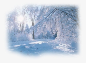 Winter Landscape ,jpg - Snow Landscape