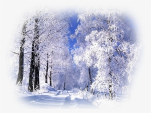 Realistic Winter Landscapes By Evgeniy Karlovich - Saskatoon Saskatchewan Winter