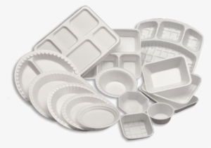 thermocol plates - disposable plates