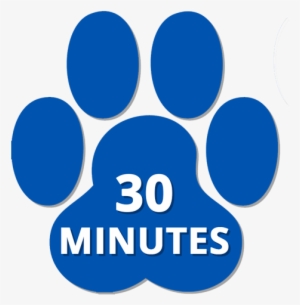 Office Hours - Paw Print Tattoos - Blue