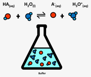 In The Aqueous Buffer Solution, H3o , Ha And H Exist