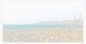 Bg-transparent - Sea