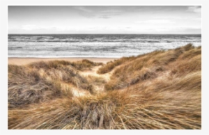 Beach Dune - Giclee Print: Beach Dunes By Assaf Frank : 40x40in