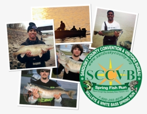 Fishing Collage