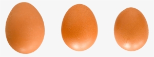 Por Ello Nuestro Método De Envase Y Comercialización - Boiled Egg