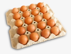 Bandeja 20 Huevos Canelos Frescos - Carton De Huevos Png