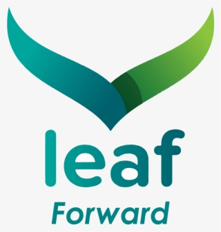 Leaf Forward Colour - Calverthealth Logo